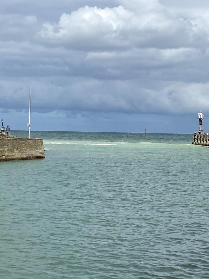 Super Appartement Cosy, Parking Prive Courseulles-sur-Mer Esterno foto